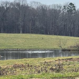 Photo #11 of 5690 Rocky Mount Church, Polkton, NC