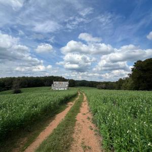 Photo #20 of 5690 Rocky Mount Church, Polkton, NC