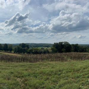 Photo #18 of 5690 Rocky Mount Church, Polkton, NC