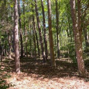 Photo #4 of 6045 C Campbell, York, SC