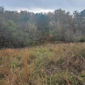 Photo #6 of Ingold School, Albemarle, NC
