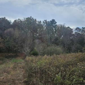 Photo #20 of Ingold School, Albemarle, NC