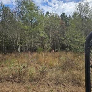 Photo #16 of Ingold School, Albemarle, NC