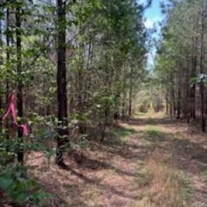 Photo #8 of Ingold School, Albemarle, NC