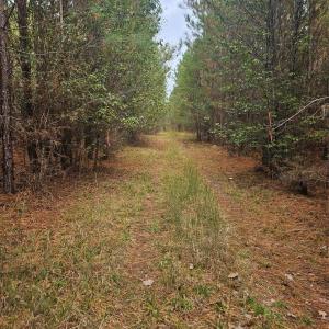 Photo #5 of Ingold School, Albemarle, NC