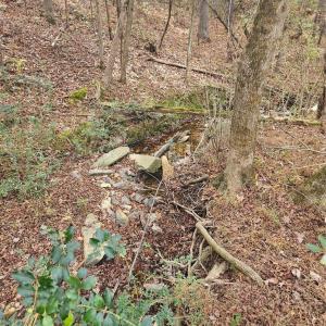 Photo #20 of Ingold School, Albemarle, NC