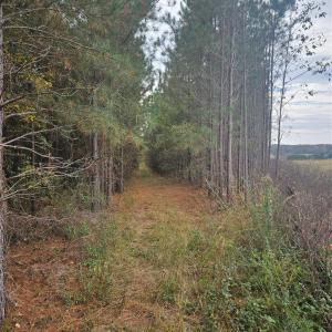 Photo #12 of Ingold School, Albemarle, NC