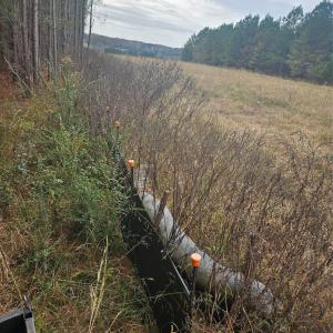 Photo #25 of Ingold School, Albemarle, NC