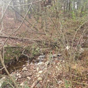 Photo #13 of Ingold School, Albemarle, NC