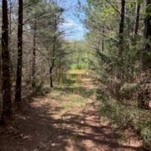 Photo #10 of Ingold School, Albemarle, NC