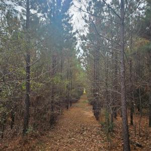 Photo #4 of Ingold School, Albemarle, NC