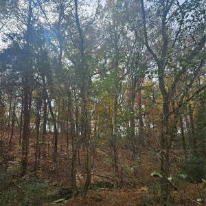 Photo #23 of Ingold School, Albemarle, NC