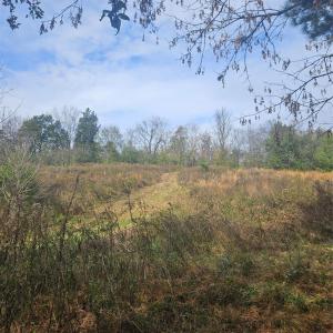 Photo #22 of Ingold School, Albemarle, NC