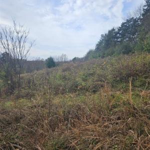 Photo #19 of Ingold School, Albemarle, NC