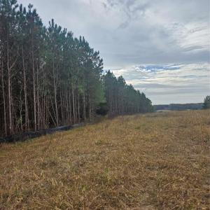 Photo #12 of Ingold School, Albemarle, NC