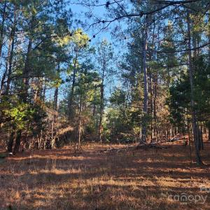 Photo #25 of 1342 Mcknight, Smyrna, SC