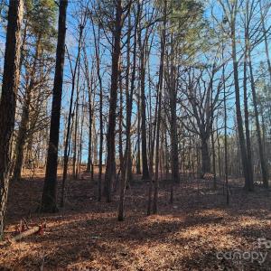 Photo #30 of 1342 Mcknight, Smyrna, SC