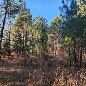 Photo #26 of 1342 Mcknight, Smyrna, SC