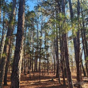 Photo #23 of 1342 Mcknight, Smyrna, SC