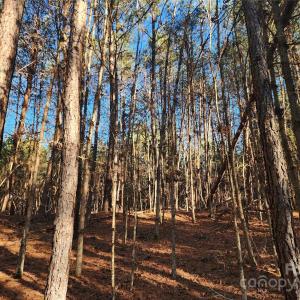 Photo #18 of 1342 Mcknight, Smyrna, SC