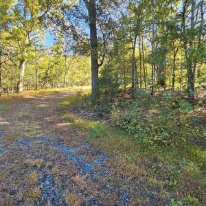 Photo #8 of 10130 Reed Mine, Midland, NC