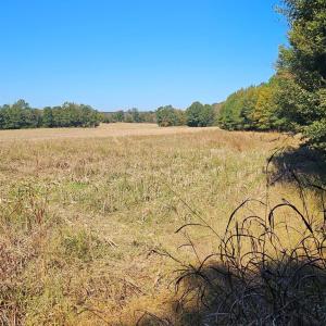 Photo #7 of 10130 Reed Mine, Midland, NC
