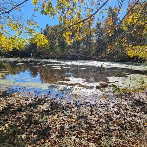 Photo #4 of 10130 Reed Mine, Midland, NC