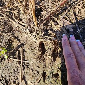 Photo #21 of 10130 Reed Mine, Midland, NC