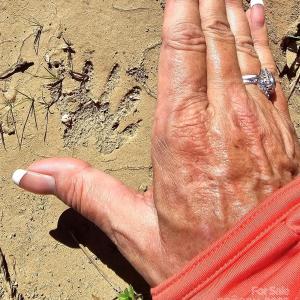 Photo #17 of 10130 Reed Mine, Midland, NC