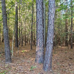 Photo #22 of 10130 Reed Mine, Midland, NC