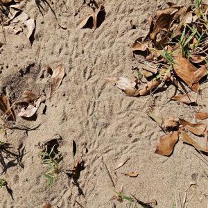 Photo #18 of 10130 Reed Mine, Midland, NC