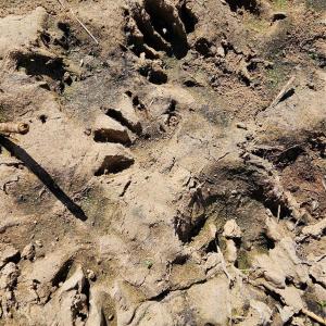 Photo #19 of 10130 Reed Mine, Midland, NC