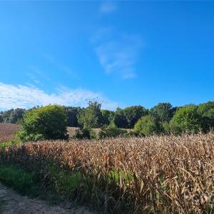 Photo #24 of 10130 Reed Mine, Midland, NC