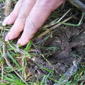 Photo #16 of 10130 Reed Mine, Midland, NC