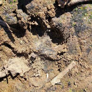 Photo #20 of 10130 Reed Mine, Midland, NC