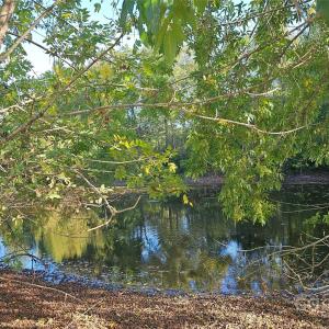 Photo #27 of 10130 Reed Mine, Midland, NC