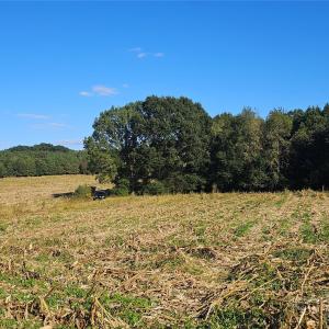 Photo #28 of 10130 Reed Mine, Midland, NC