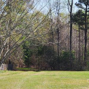 Photo #12 of 2351 Reges Store, Nashville, NC