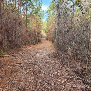 Photo #30 of 2351 Reges Store, Nashville, NC