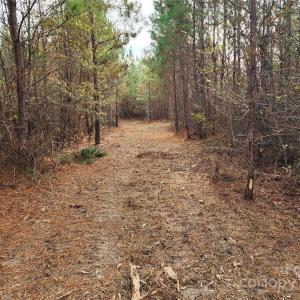 Photo #26 of 2351 Reges Store, Nashville, NC