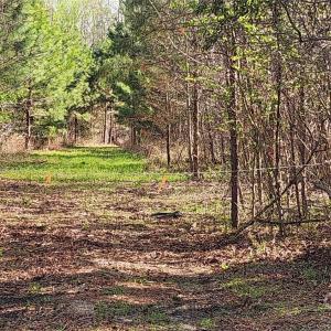 Photo #13 of 2351 Reges Store, Nashville, NC