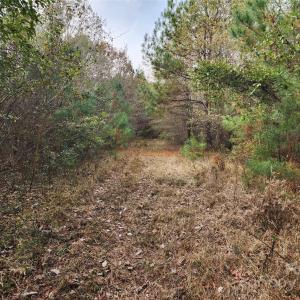 Photo #21 of 2351 Reges Store, Nashville, NC