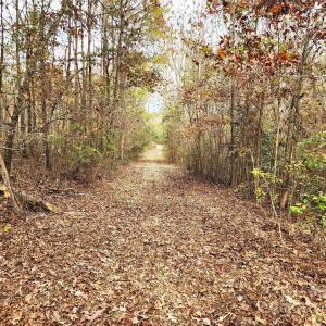 Photo #16 of 2351 Reges Store, Nashville, NC