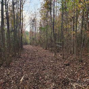 Photo #29 of 2351 Reges Store, Nashville, NC