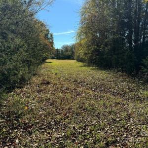 Photo #6 of 992 Potter, Lancaster, SC