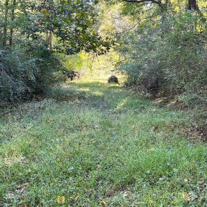 Photo #5 of Square, Monroe, NC