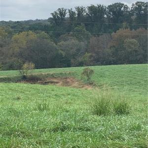 Photo #10 of 6244 RA Austin, Marshville, NC