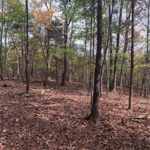 Photo #5 of 6244 RA Austin, Marshville, NC