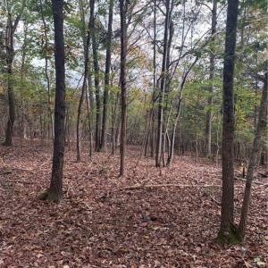 Photo #2 of 6244 RA Austin, Marshville, NC