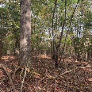 Photo #6 of 6244 RA Austin, Marshville, NC